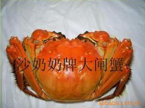 ɳκբзĸз:2.4-2.5