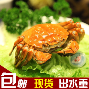 κբзĸз޻޸ˣڰʻ,8ֻ