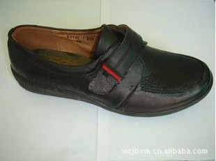 2013PUЬģ/DIPЬģ