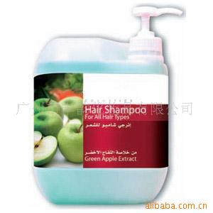 ϴˮShampooȫӢİװ)