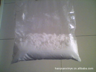 ֱпȸ