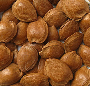 ½СС11»½ɹ250gŹʳ