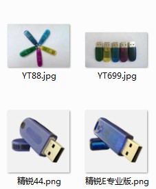 SentinelDualHardwareKeyݼܹ
