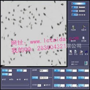 ҺҽXP
