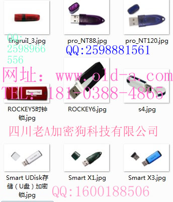 SentinelDualHardwareKeyRTCݼ