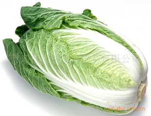 ձn򤱡ϤĤ䤵300USD