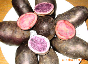 ȫΧڵӪḻڸкò