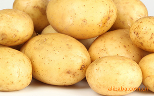 ޹Ķ