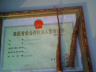 ɽ磬ɽƷŽ磬13583040831