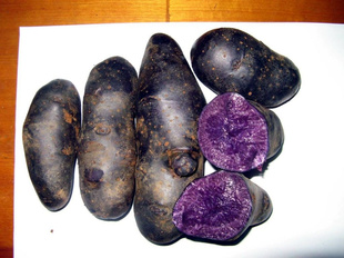 ֱ