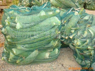 600ĶֲժҶ«ҶƬ«