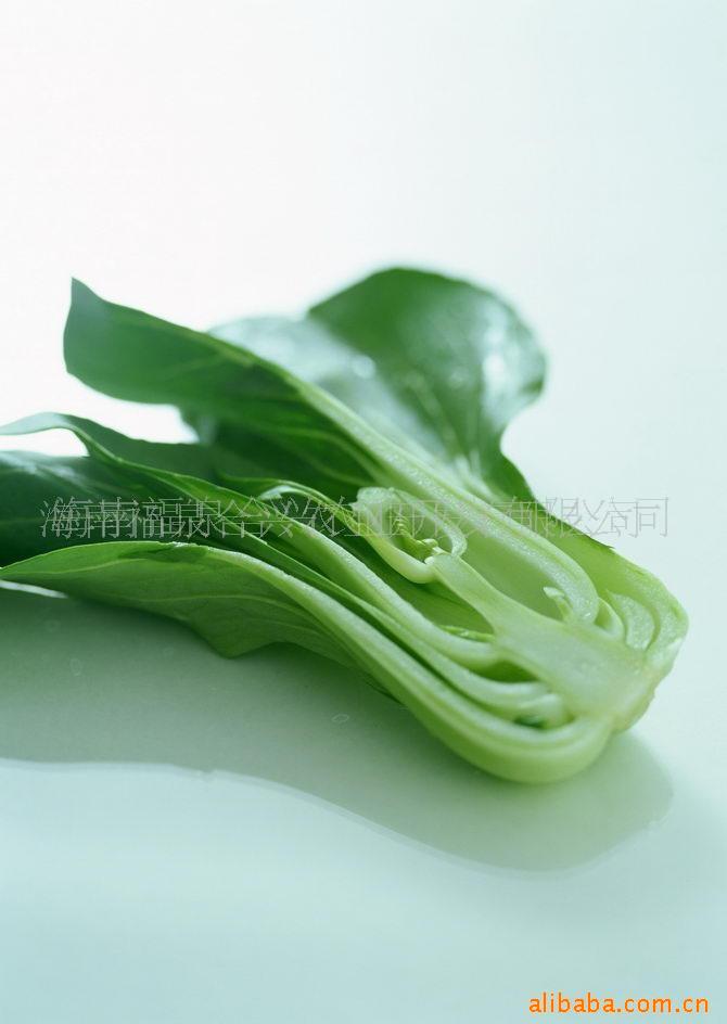ϸȪũ޹Ϻ