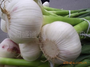 շ޹лֲأ2011