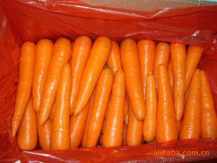 ˾ڼʺܲ