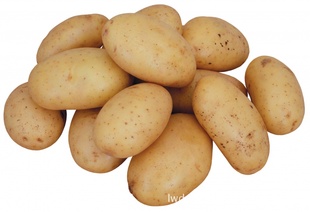 龥ӭѡ