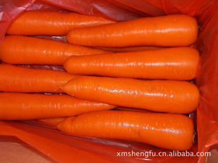 ܲ,carrots23±ۣ