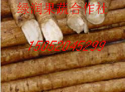 2011лţ20һ