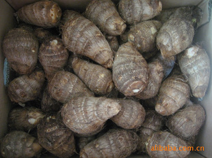 ڼͷ