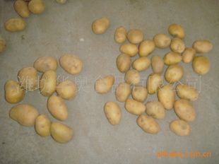 С