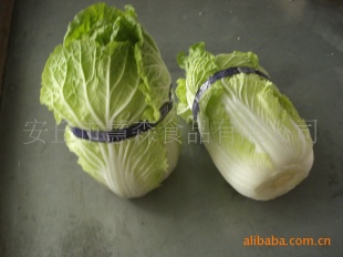 ʳڰײ