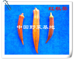 Ұ˵ҰлʳƷ޹Ʒ