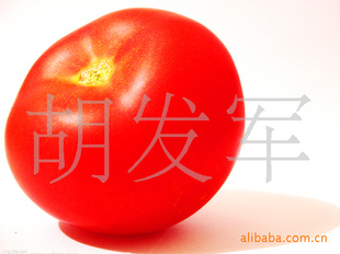 شӪḻķ۹