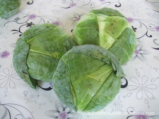 ڸͷ˰˰ͷȸ