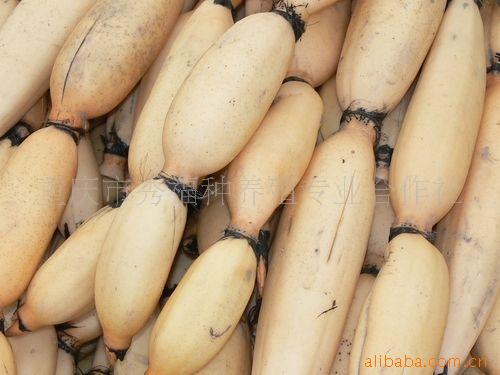 лź