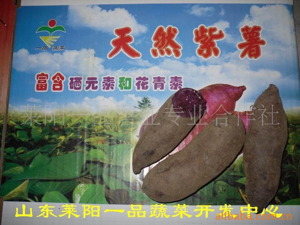 ʵعϲʵعϵع