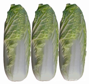 ʳڼײ˸ͼ۸