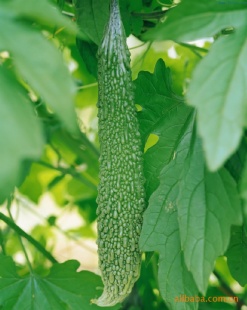 ӹ