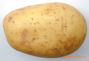 Ʒֻ