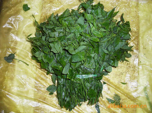 野生蔬菜甜菜