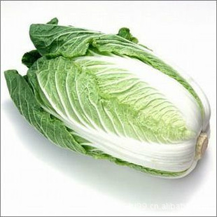 ɽʳڡӹײˣײˡѿˡݿưˣ
