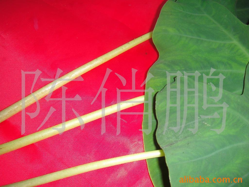 “׺̺ϸ”඼
