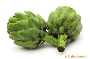 ֮artichoke