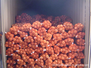 supplyfreshyellowonion(ͼ)