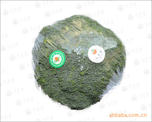 лǿ