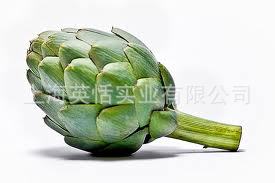 Artichoke