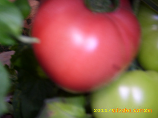 ̲Ʒ½,Եķģ