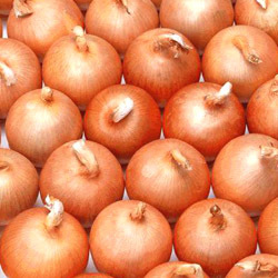 ڼУƤУУУԪ