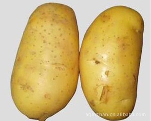 ӹ2012ӹͼ