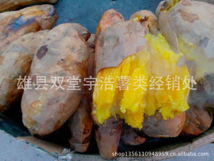 红薯/紫薯/地瓜/自产红薯遗字138/的农家自产/特价新鲜红薯