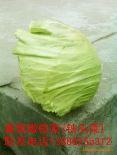 Ķ魲˵—ͷˣֱ