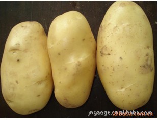 ָƷfreshpotato