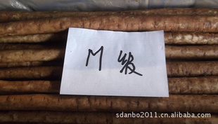 ţȫ޹ڼƷ