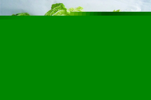 ؼʴײ
