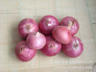 ڼУƤУУԲ
