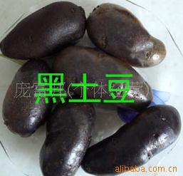 ָ