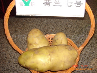 ֻ޹3